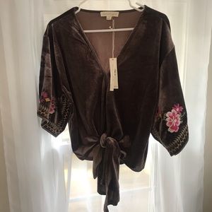 Chocolate velvet Embroidered Top